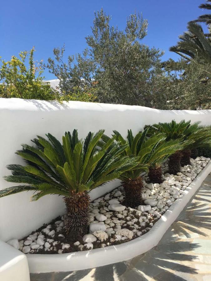 Myconian Sky Suites In Town Mykonos Town Buitenkant foto
